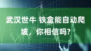 武汉世牛 铁盒能自动爬坡，你相信吗?