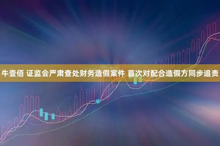 牛壹佰 证监会严肃查处财务造假案件 首次对配合造假方同步追责