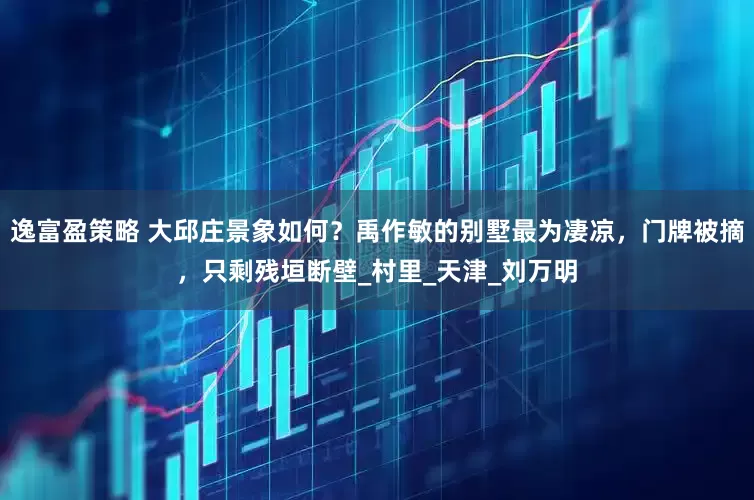 逸富盈策略 大邱庄景象如何？禹作敏的别墅最为凄凉，门牌被摘，只剩残垣断壁_村里_天津_刘万明