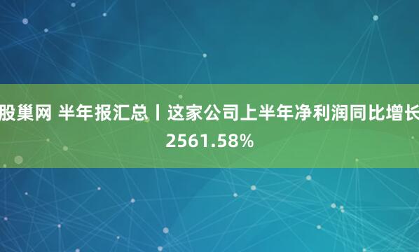 股巢网 半年报汇总丨这家公司上半年净利润同比增长2561.58%