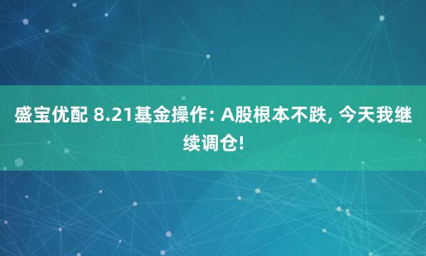 盛宝优配 8.21基金操作: A股根本不跌, 今天我继续调仓!