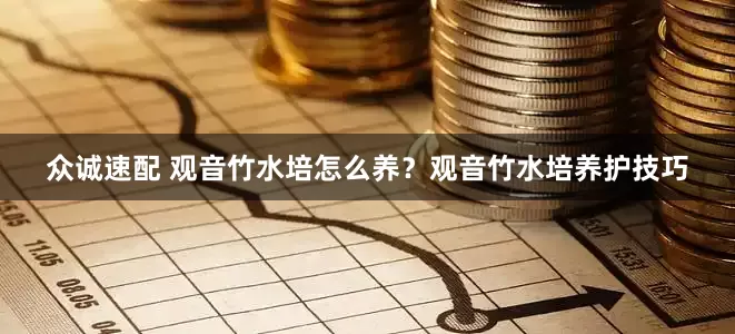 众诚速配 观音竹水培怎么养？观音竹水培养护技巧