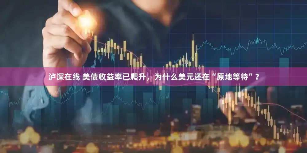 泸深在线 美债收益率已爬升，为什么美元还在“原地等待”？