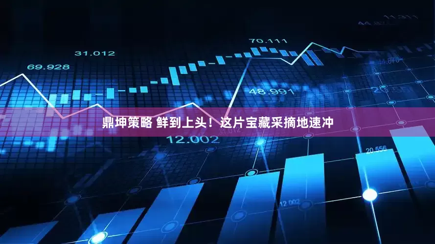鼎坤策略 鲜到上头！这片宝藏采摘地速冲
