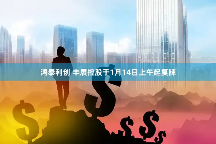 鸿泰利创 丰展控股于1月14日上午起复牌