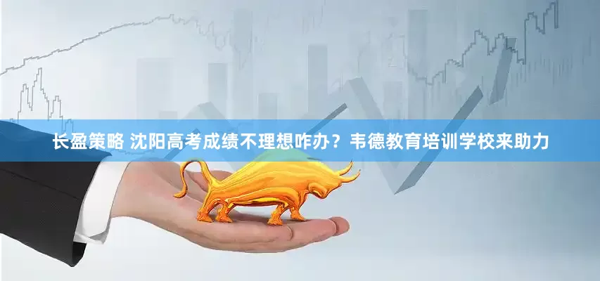 长盈策略 沈阳高考成绩不理想咋办？韦德教育培训学校来助力