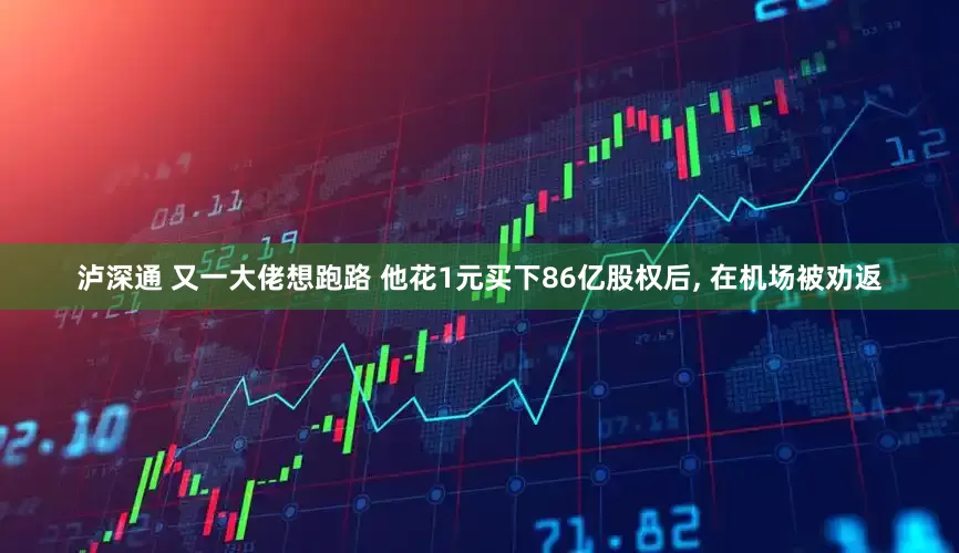 泸深通 又一大佬想跑路 他花1元买下86亿股权后, 在机场被劝返